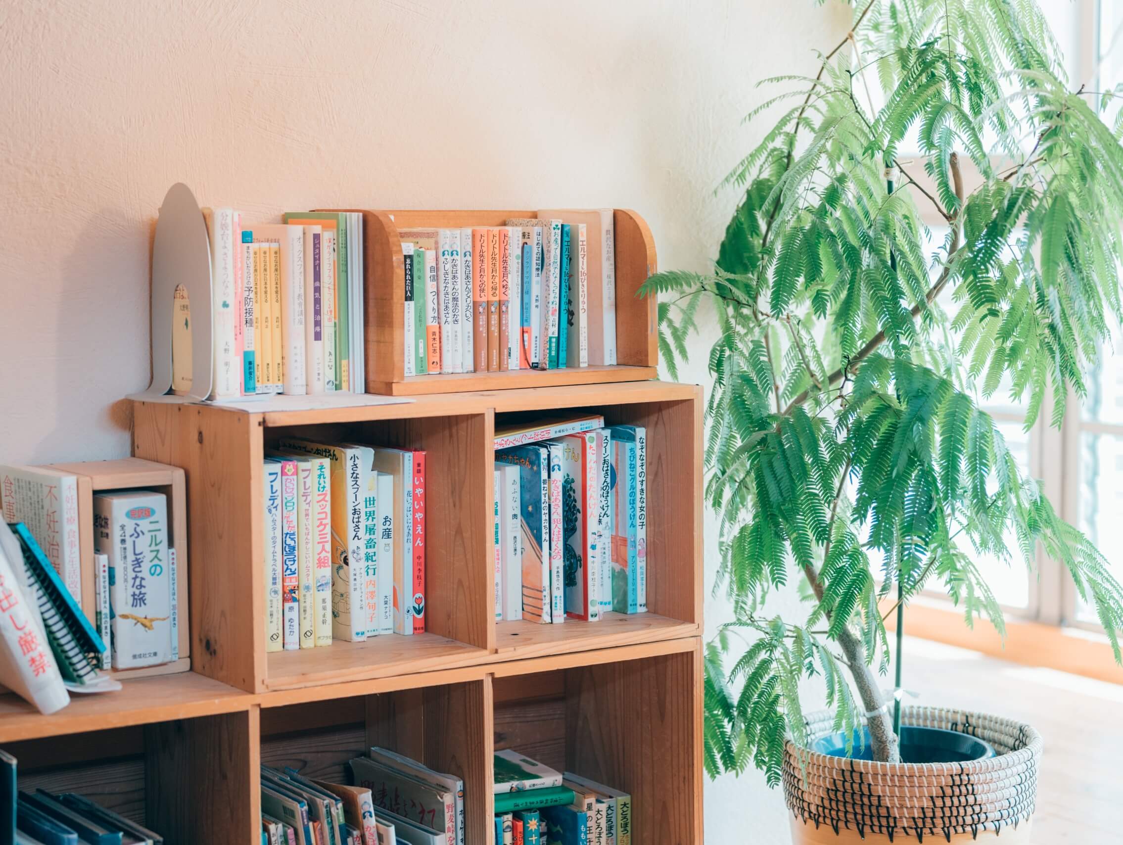 新しい命を迎え、育む。